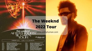 Fans of The Weeknd 2022 Tour Must Have These Items 1