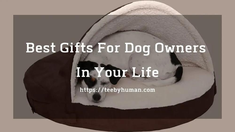 10 Best Gifts For Dog Owners In [hienthinam]