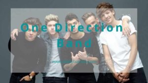 10 Things Fans Of One Direction Band Must Have 1