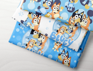 15 Things Fans Of Bluey Disney Should Own 11